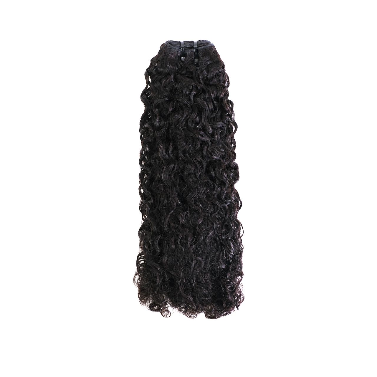 Spanish Curly